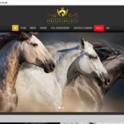 Deluxe Horse Webshop - Shopware